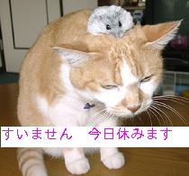 腹が腹痛・・・