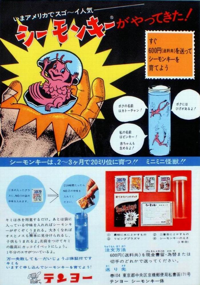 あやしい・・・