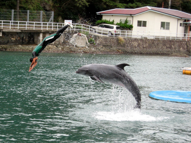 下田海中水族館