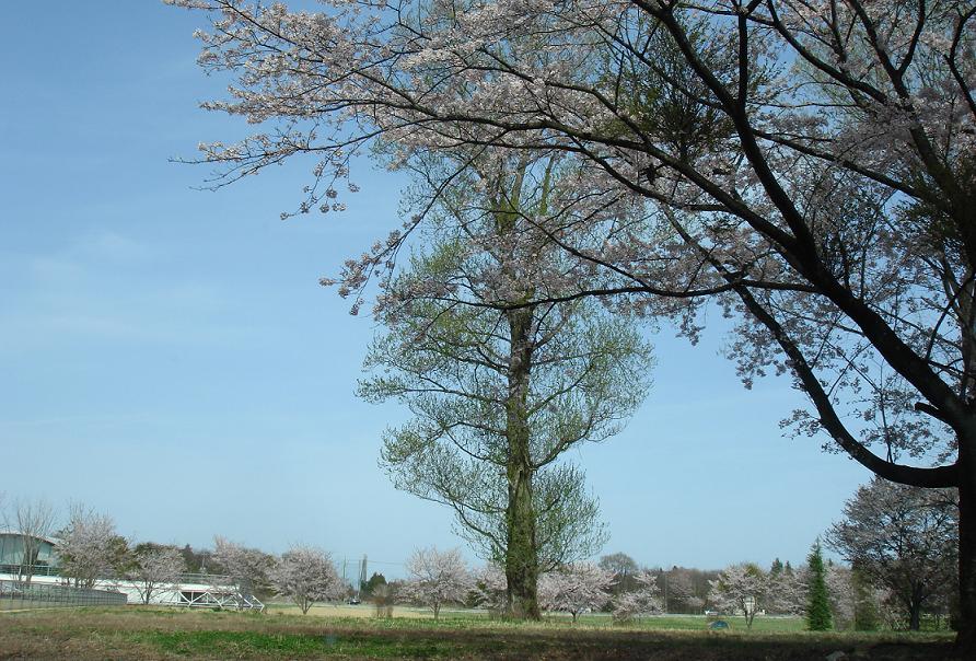 やっと来れた。。。