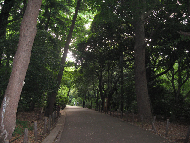 林試の森公園