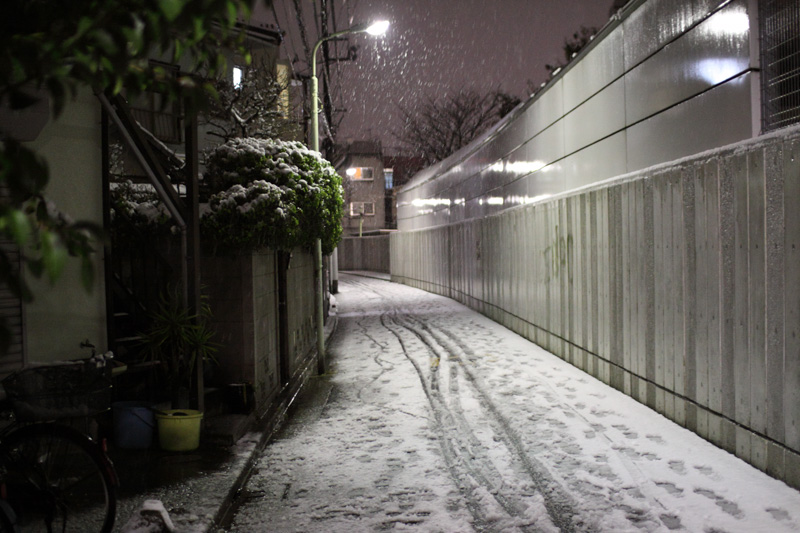 雪が積もっています