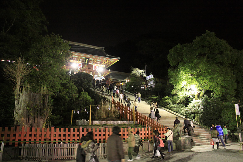 鶴岡八幡宮の大銀杏