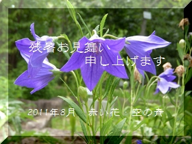 いつも有難うございます