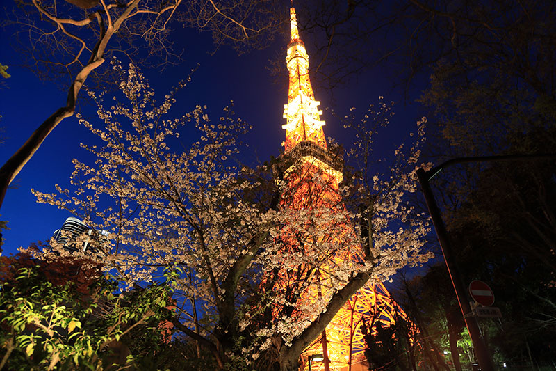 芝公園