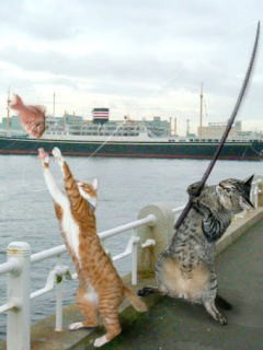 猫魂!!