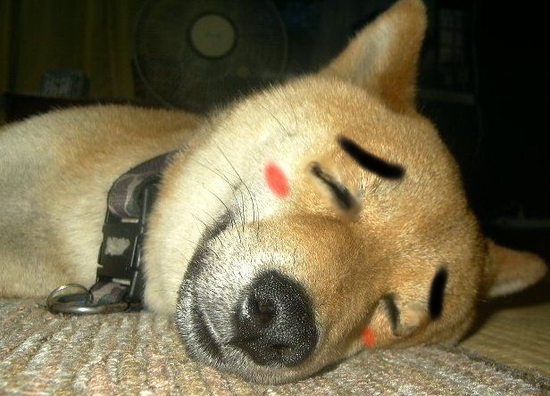 癒し