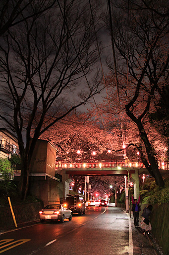 雨上がりの桜坂夜景
