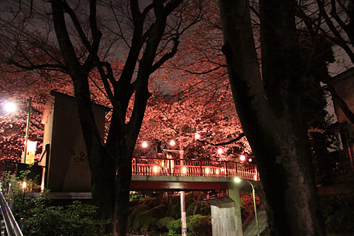 桜橋左下