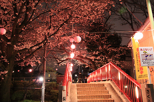桜橋（階段側）