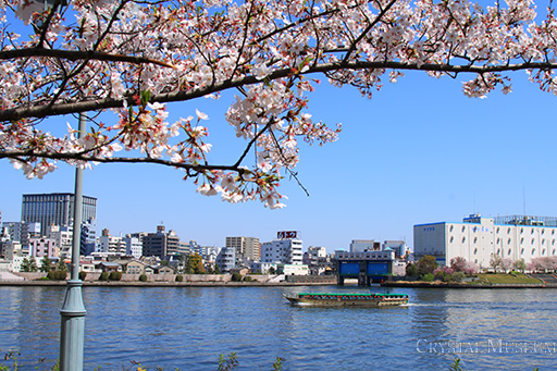 隅田川の屋形船