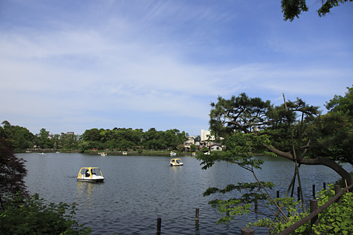 洗足池西側から