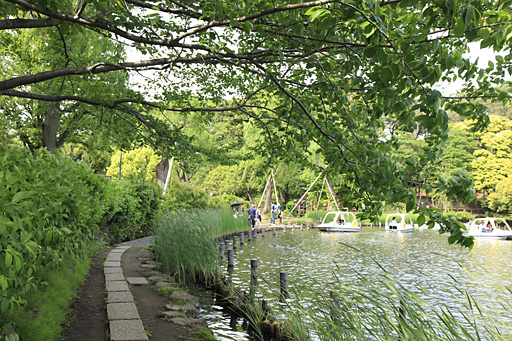 池のみち北側へ