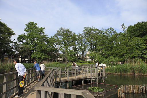 水生植物園