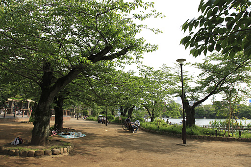 池の東側