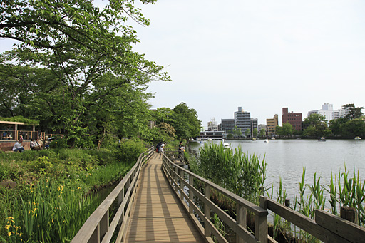 池のみち東側