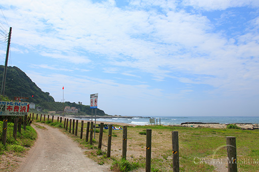 潮音海岸(布良浜)の柵