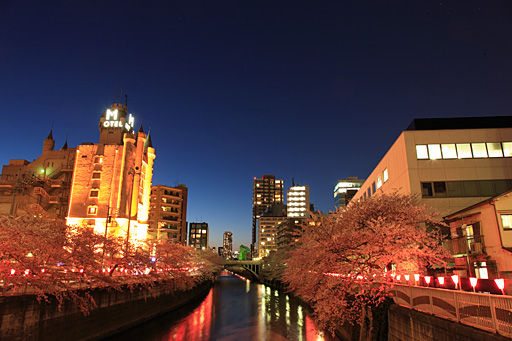 目黒川桜並木の夕景