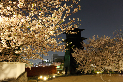 桜と火の見櫓